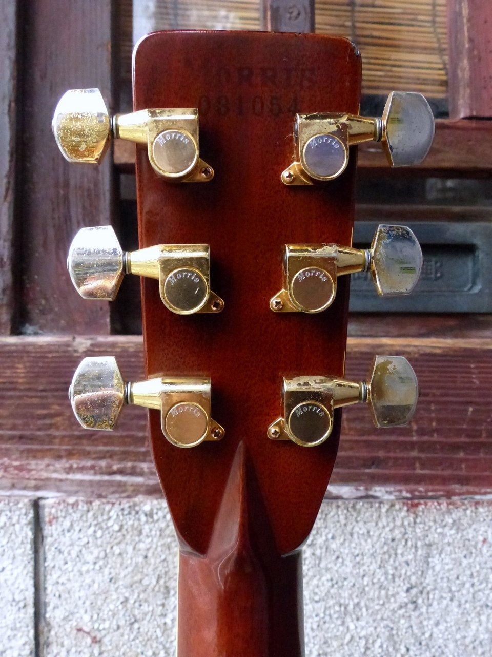 Morris '70s W-100 TF Series（ビンテージ）【楽器検索デジマート】