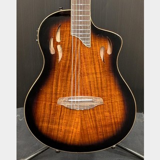 エレガットギターの検索結果【楽器検索デジマート】