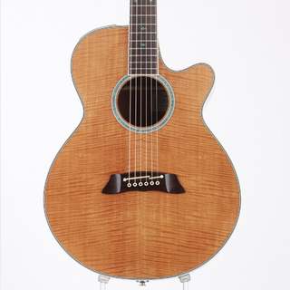 アコースティックギター／エレクトリック・アコースティックギター