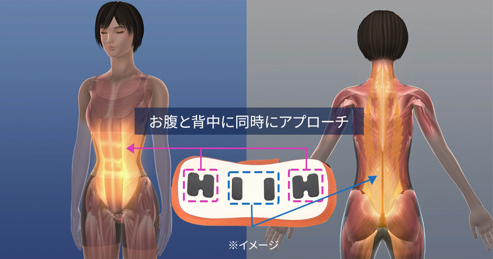 フィットネスクラブが作ったスタイリークッション 通販 - ディノス