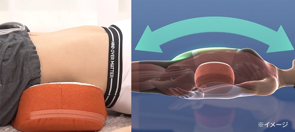 フィットネスクラブが作ったスタイリークッション 通販 - ディノス