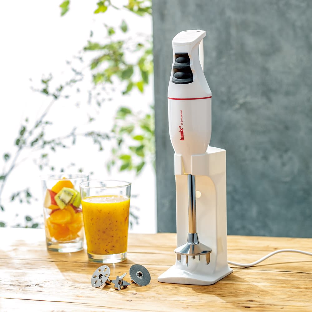 bamix バーミックス ガストロ250 プロ専用モデル bamix バーミックス