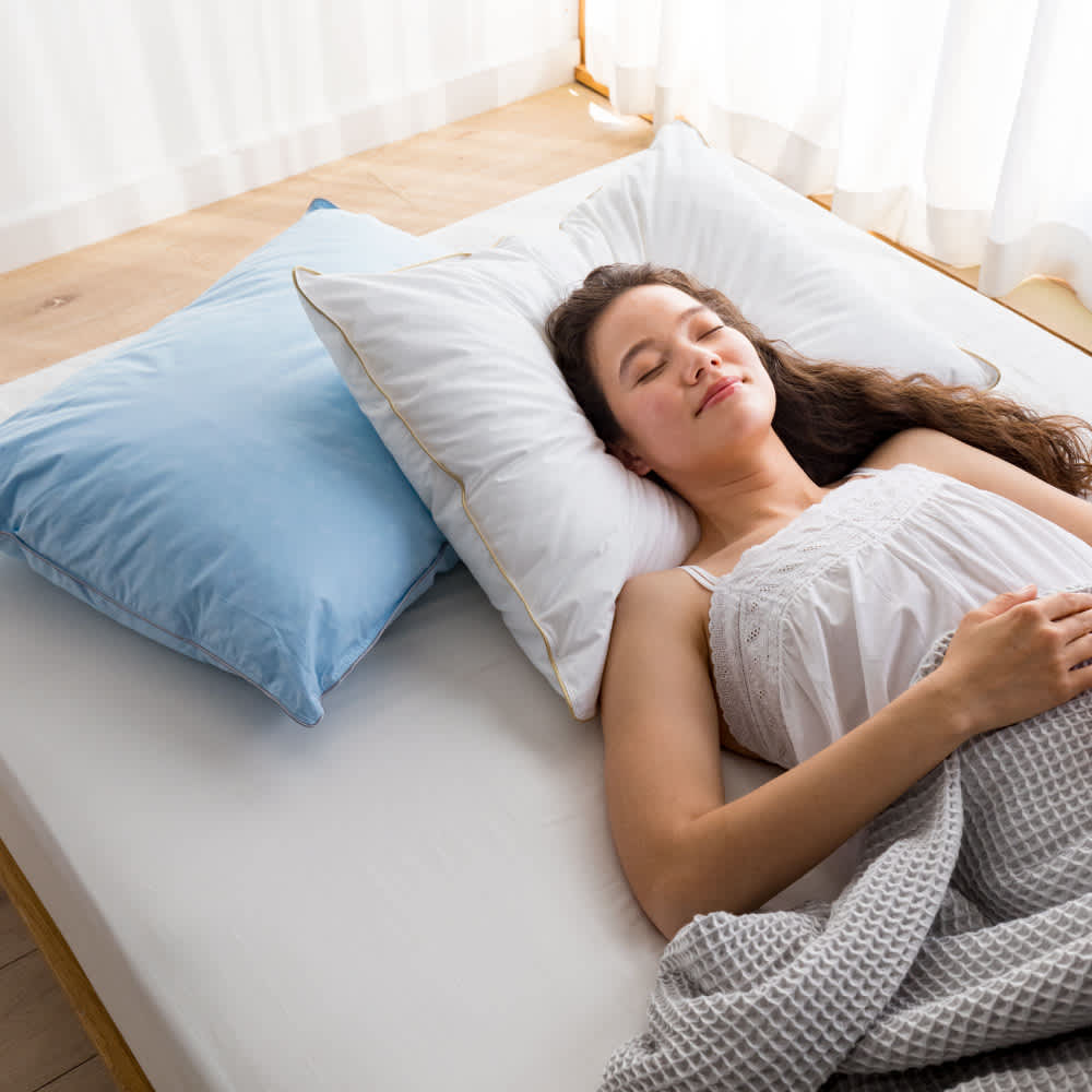 日本ベッド ピローフェザーデュアル 枕 50787 日本ベッド ピロー