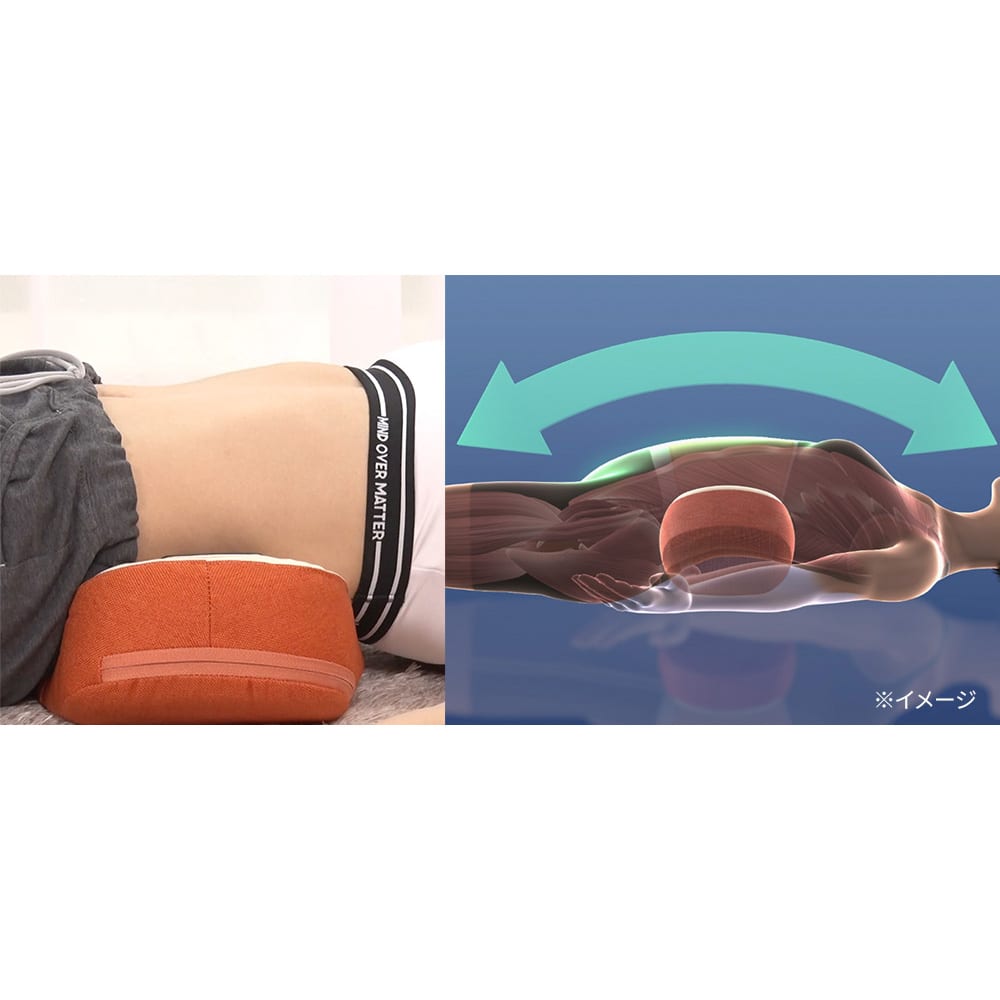 dショッピング |フィットネスクラブが作った スタイリークッション 筋