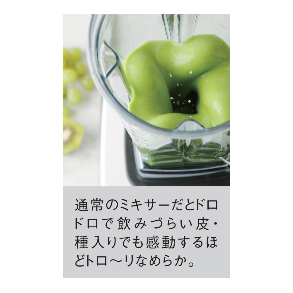 バイタミックス E310 メーカー保証5年付き （本体1.4Lウェットコンテナ