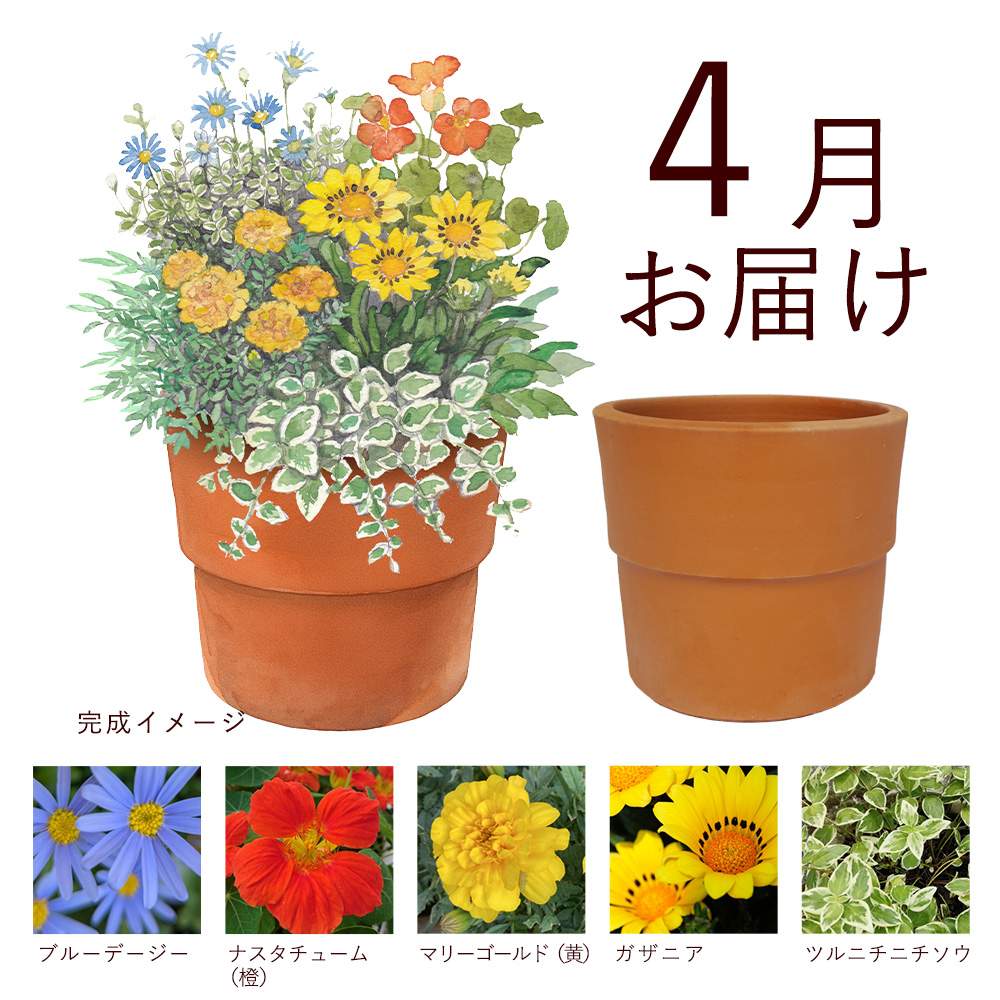 毎月花・寄せ植えが届く定期便・頒布会 わたしのおうち時間を楽しもう