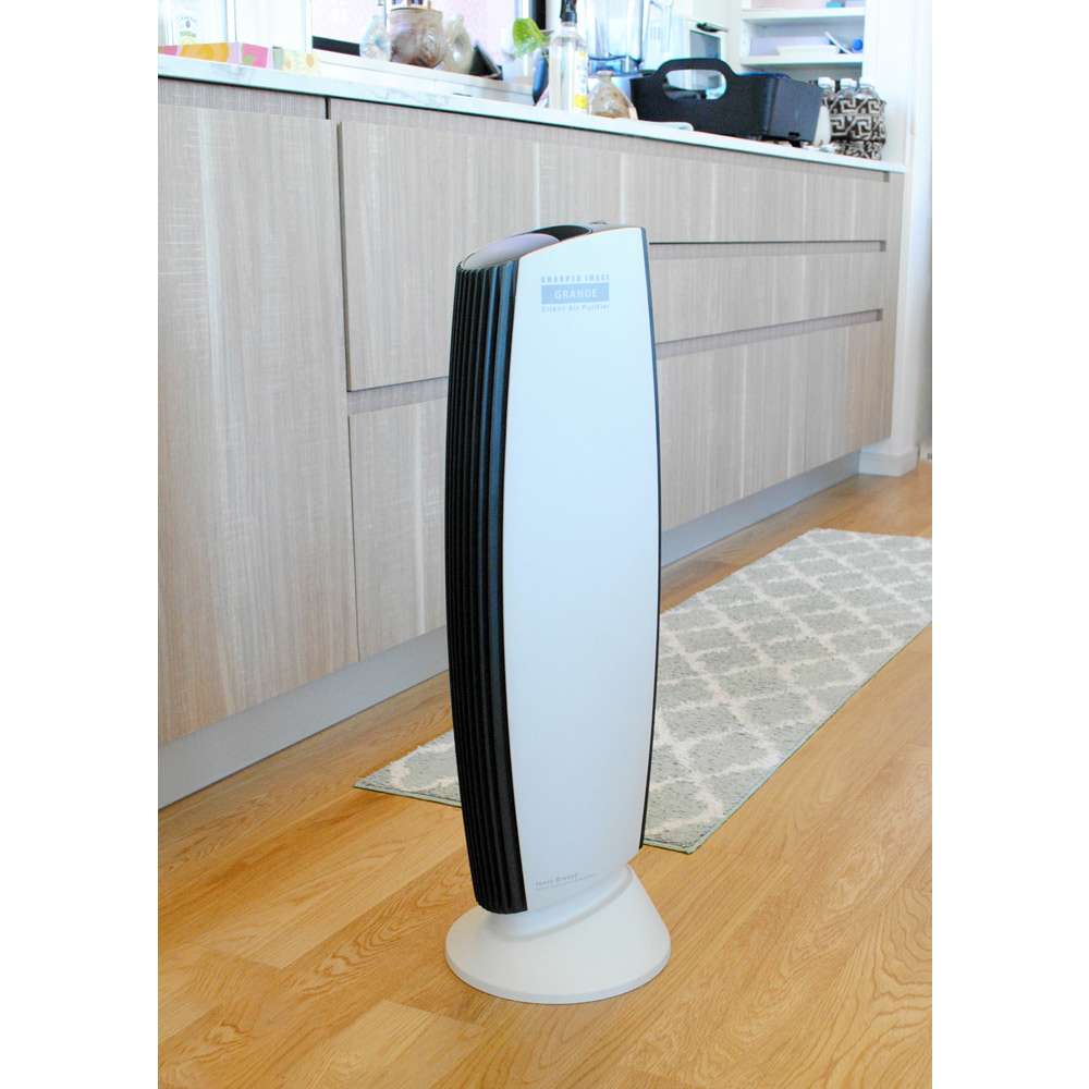 イオニックブリーズ GRANDE 通販 - ディノス