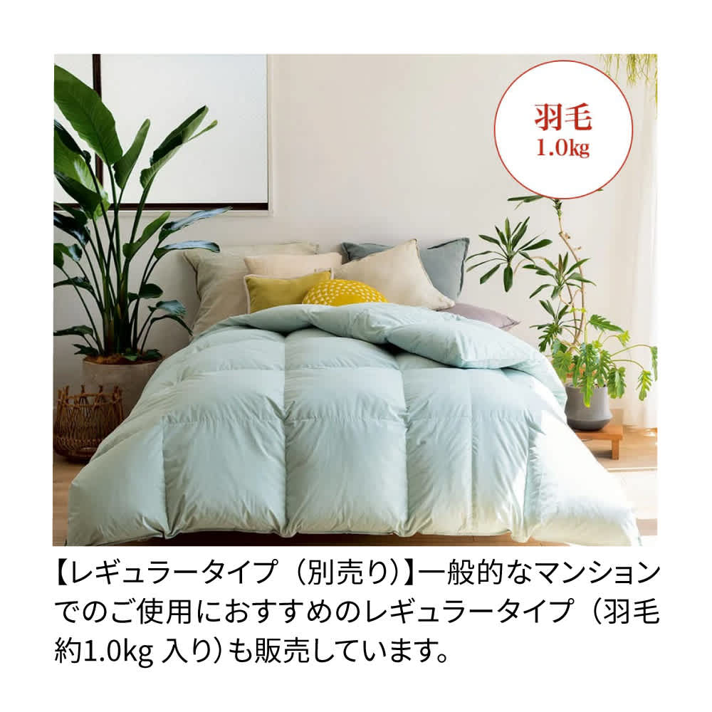 リサイクル羽毛掛け布団〈reumo/リウモ〉 増量タイプ 通販 - ディノス