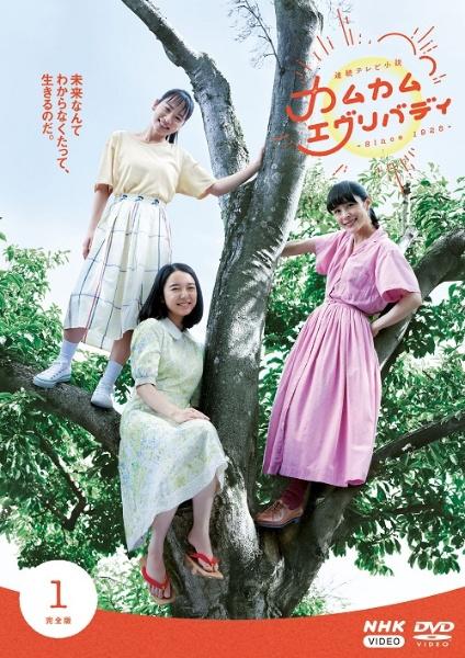 連続テレビ小説 カムカムエヴリバディ 完全版 | 宅配DVDレンタルの