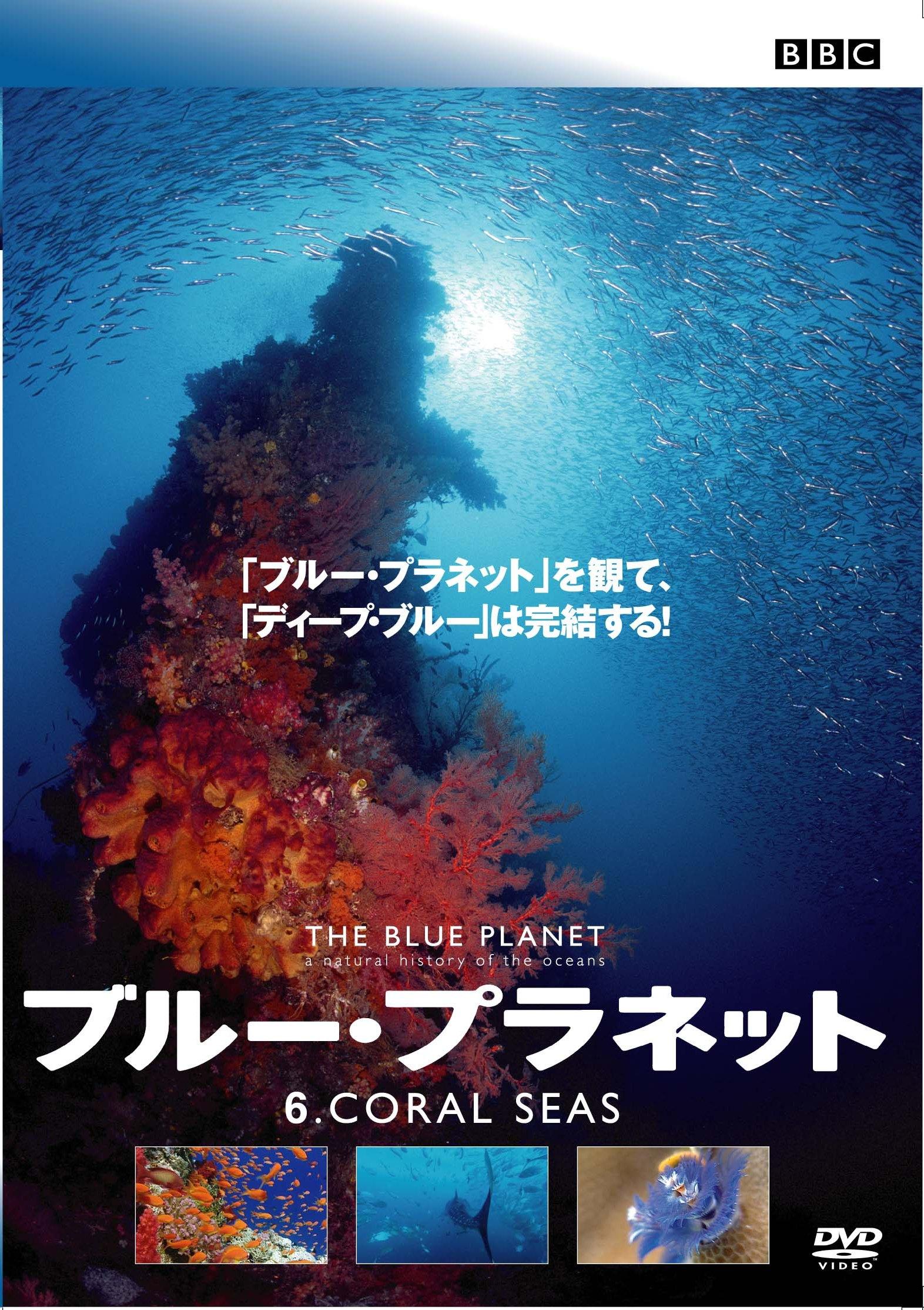 ブルー・プラネット 6 CORAL SEAS | 宅配DVDレンタルの