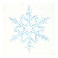 BUMP OF CHICKEN サイン入りCD スノースマイル Amazon.co.jp: スノー