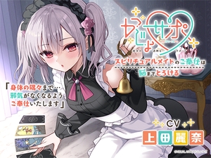 Wonderful Works「ドールズフロントライン ZB-26 麗しき夢の片隅Ver