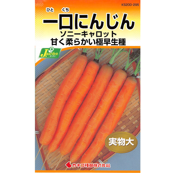 園芸ネット本店｜ニンジン種：一口にんじん ソニーキャロット[野菜タネ