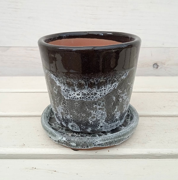 園芸ネット本店｜ハレー：ブラックS4号・受皿付（直径13cm、高さ13cm