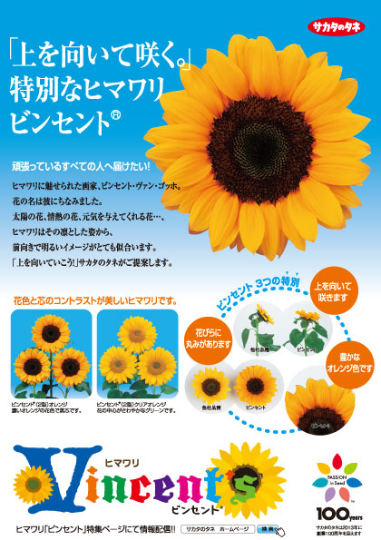 園芸ネット本店｜ヒマワリ：ビンセント オレンジ[サカタ 花タネ] の
