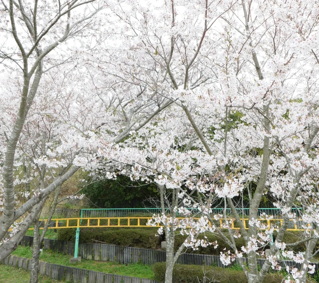 Kobe] Sumaura Sanjo Amusement Park: Access, Reviews, Retro Rides