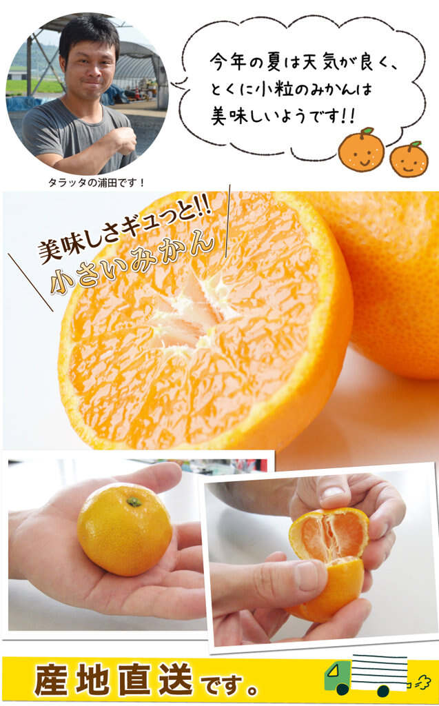 みかんページ みかん。ページ みかんページ ミカン様 ミカン様 蜜柑様