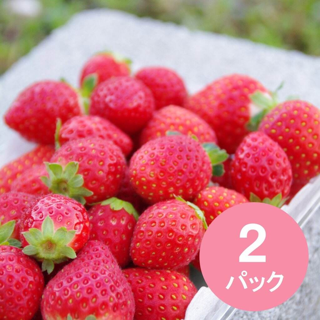 送料込み】サラダなイチゴ 4P | The Country Pantry