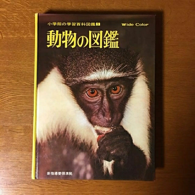 小学館の学習百科図鑑 6巻の通販 by ラクラクン｜ラクマ