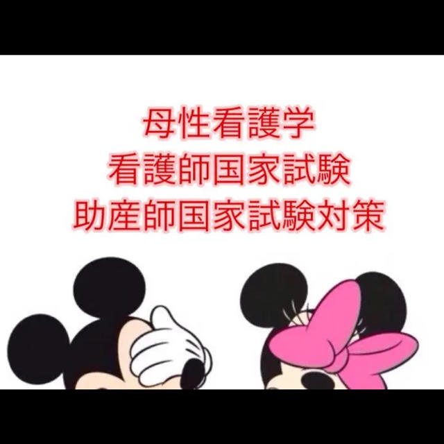 母性看護学、看護師国家試験、助産師国家試験対策まとめノートの通販