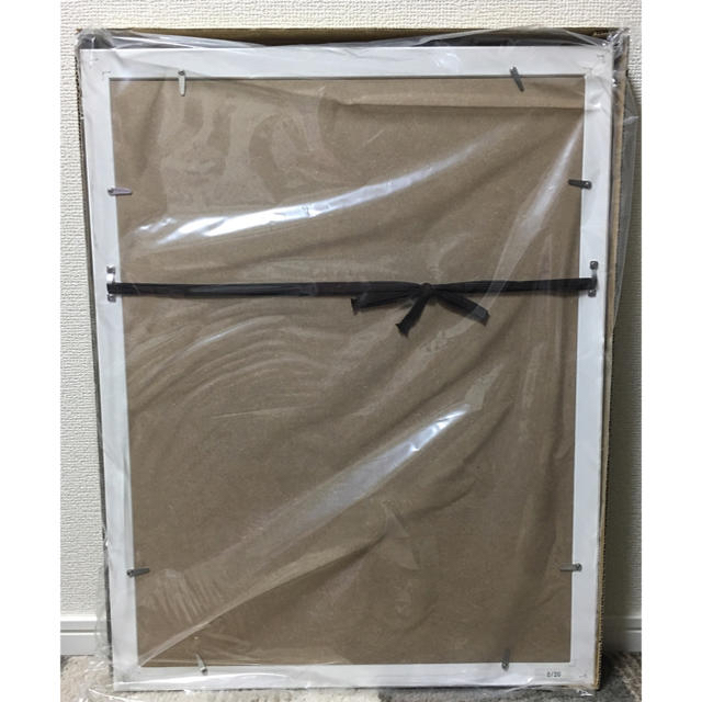 小学館 - 限定20枚✨名探偵コナン プリマグラフィー 天空の難破船 青山