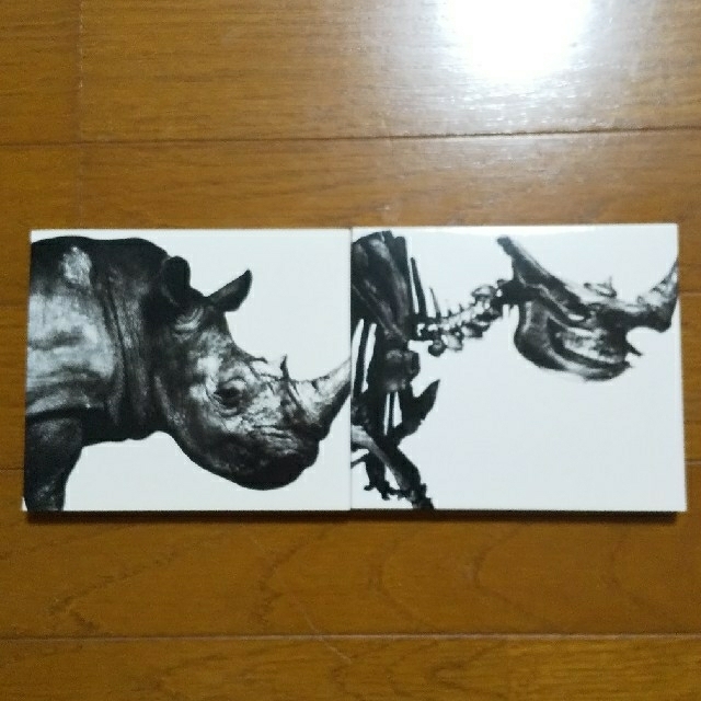 ミスチル 肉骨セットベストアルバムの通販 by iihtdk's shop｜ラクマ