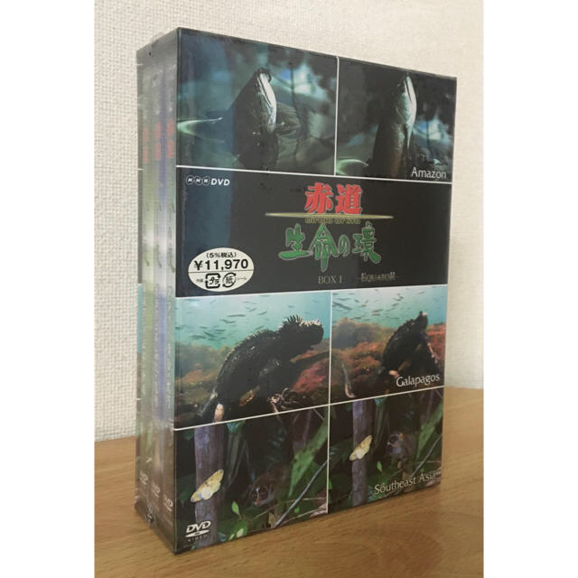 シルビアのいる街で BD [Blu-ray] : グザヴィエ・ラ シルビアのいる街