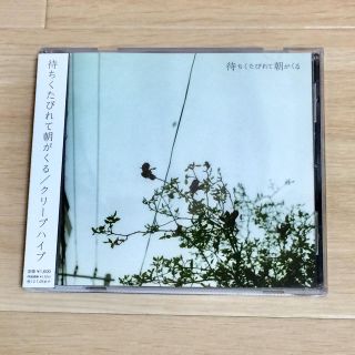 待ちくたびれて朝がくるの通販 by こめ's shop｜ラクマ