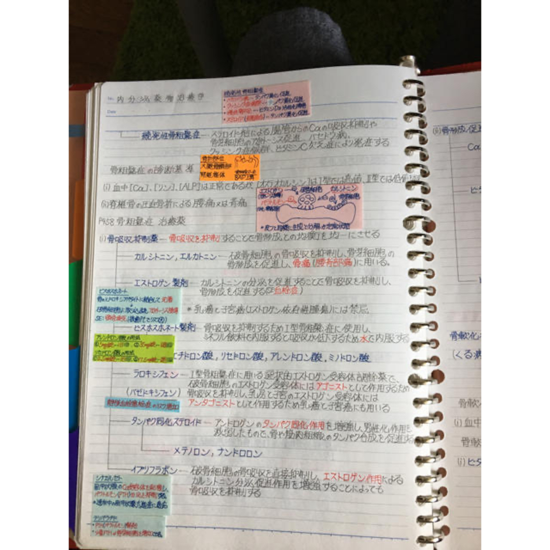 医療系学科定期試験、国家試験対策シリーズ【薬物治療学】まとめノート
