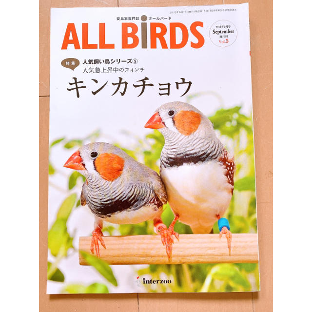 ALL BIRDS 愛鳥家専門誌 オールバードの通販 by みー shop｜ラクマ