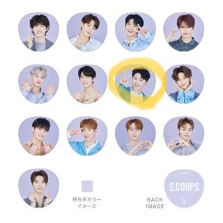 SEVENTEEN - Seventeen ドームツアー うちわ ver.2 ウジの通販 by