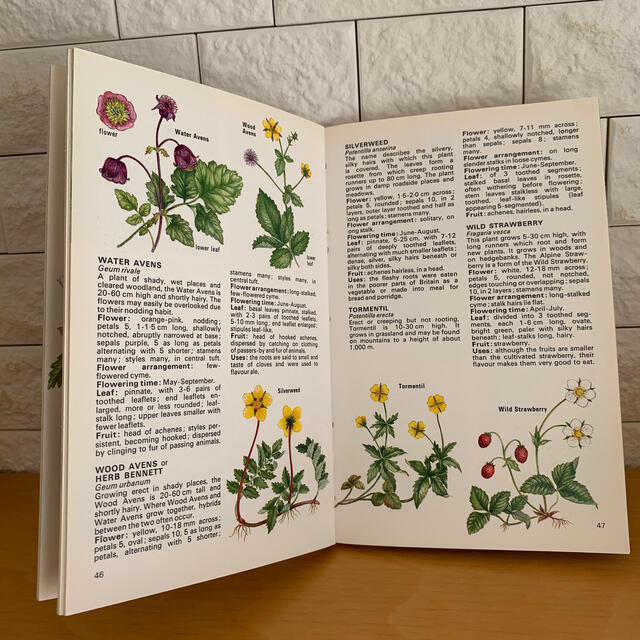 WILD FLOWERS 植物図鑑 洋書 古書の通販 by sata's shop｜ラクマ