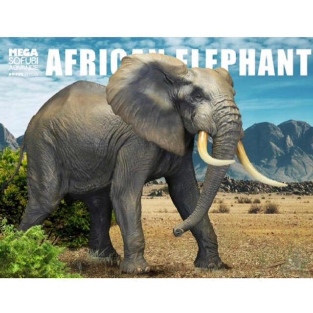 海洋堂 - 【初期カラー】アフリカゾウ ビッグフィギュア ◇ メガソフビ