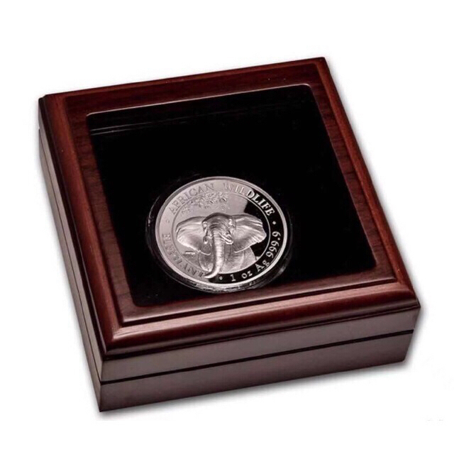 獣医 小動物 臨床家のための犬と猫の心臓病マニュアル 獣医 小動物