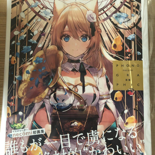 直筆サイン入り necomi 初個展 画集 PHONOGRAPHICの通販 by AQUA's