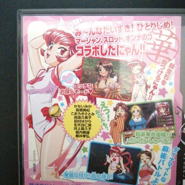 ニンテンドーDS - ちゅ～かな雀士 てんほー牌娘 Remix DSの通販 by