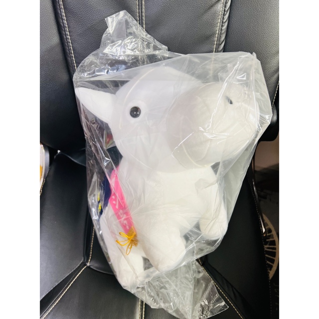 TAITO - 【新品・未開封品】サラブレッドコレクションBIG ソダシ