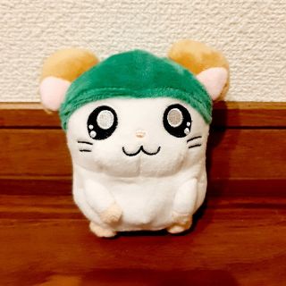 とっとこハム太郎 ハムちゃんず ぬいぐるみ かぶるくん 単品の通販 by