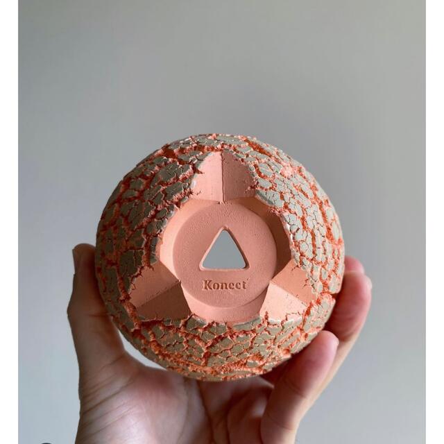 Konect FANG mmj oo2 村上淳 Sサイズ 鉢 コネクト 新品