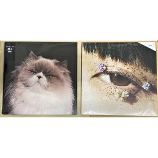 カネコアヤノ レコードのフリマアイテム一覧