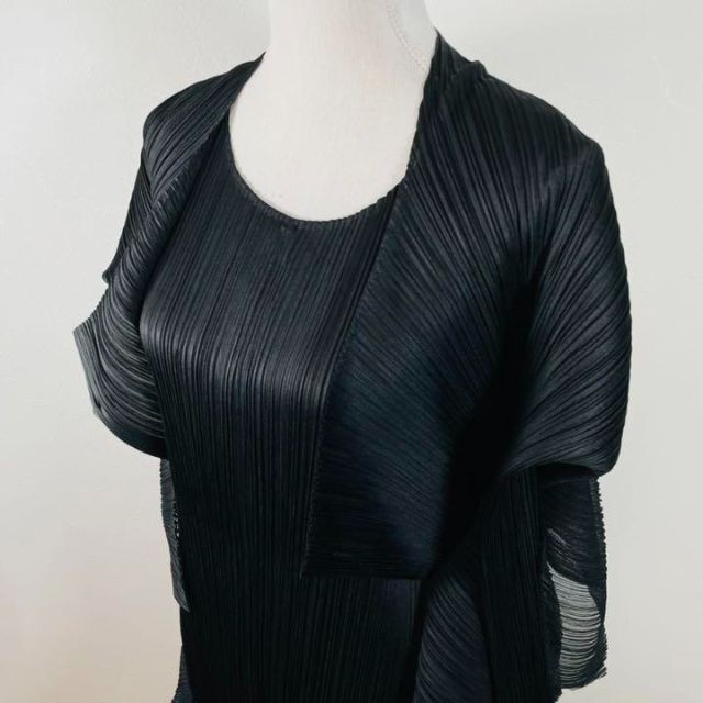 PLEATS PLEASE ISSEY MIYAKE - 激レア プリーツプリーズ ドレス