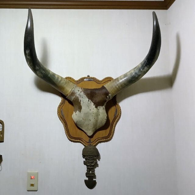 水牛の角の通販 by Yc's shop｜ラクマ