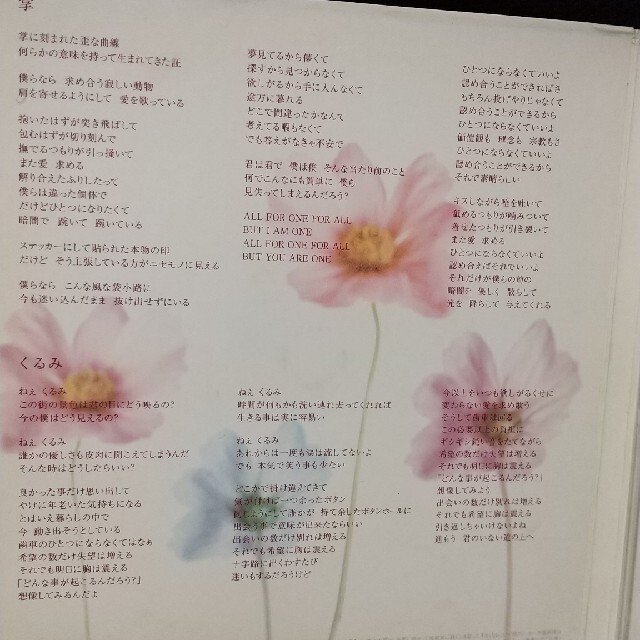 Mr.childrenの【掌&くるみ】の通販 by 野菊's shop｜ラクマ