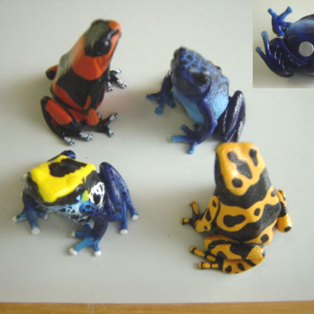 ♯Hoi26Ijネイチャーテクニカラーヤドクガエル1マグネット全8種の通販