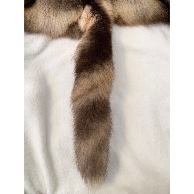 激レア】十字狐 ジュウジギツネ クロスフォックス 原皮 毛皮 ラグ 敷物