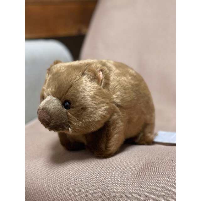 限定】ウォンバット 五月山動物園 ぬいぐるみ ワインの通販 by Uni's