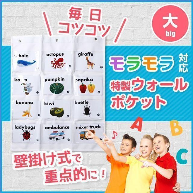 モラモラ対応 ピクチャーカード入れ （大） 収納 ペッピーキッズクラブ