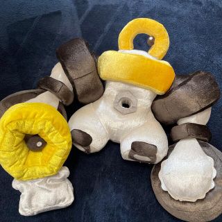 1515306444.jpg?1647920792