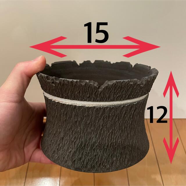 豪人鉢 gouzin BOTANAIZE AK-LINE ボタナイズ GOUJIN × BOTANIZE AK