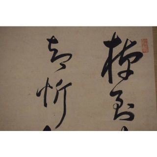 1483338641.jpg?1644987092